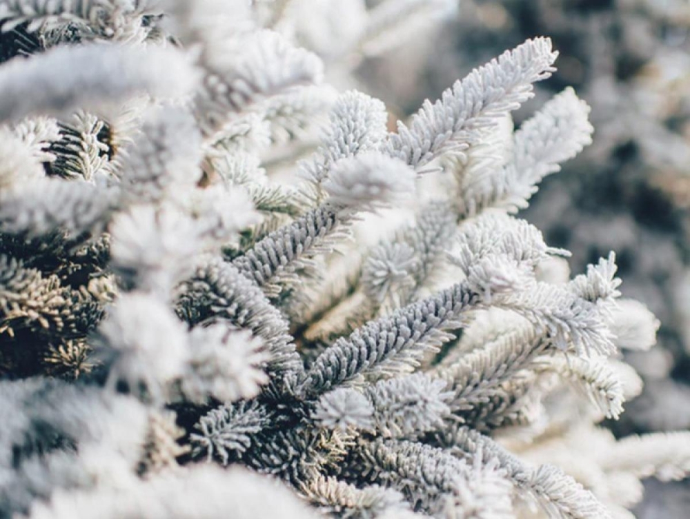 ЦАГ АГААР| Нийт нутгаар хүйтний эрч эрс чангарна