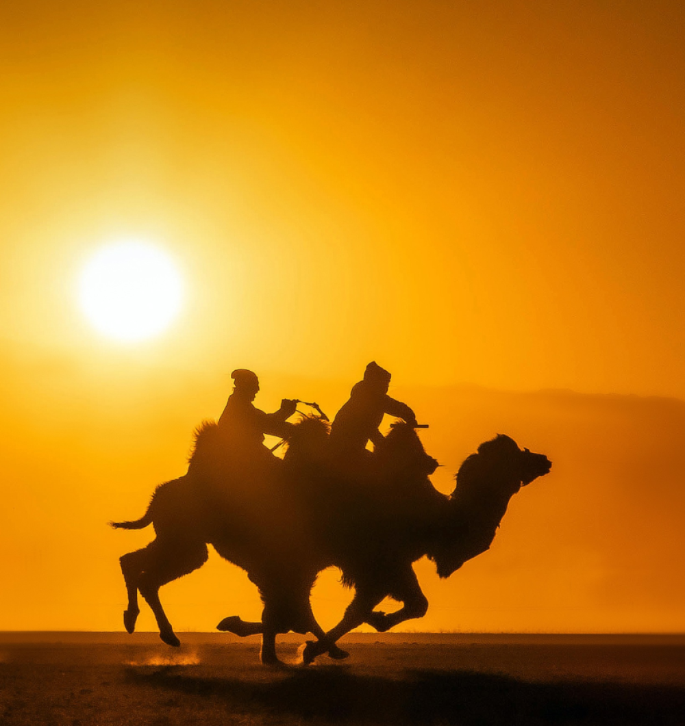 "Тэмээн дээрээс наран ойрхон" тэмээчдийн баяр Дундговь аймагт болно