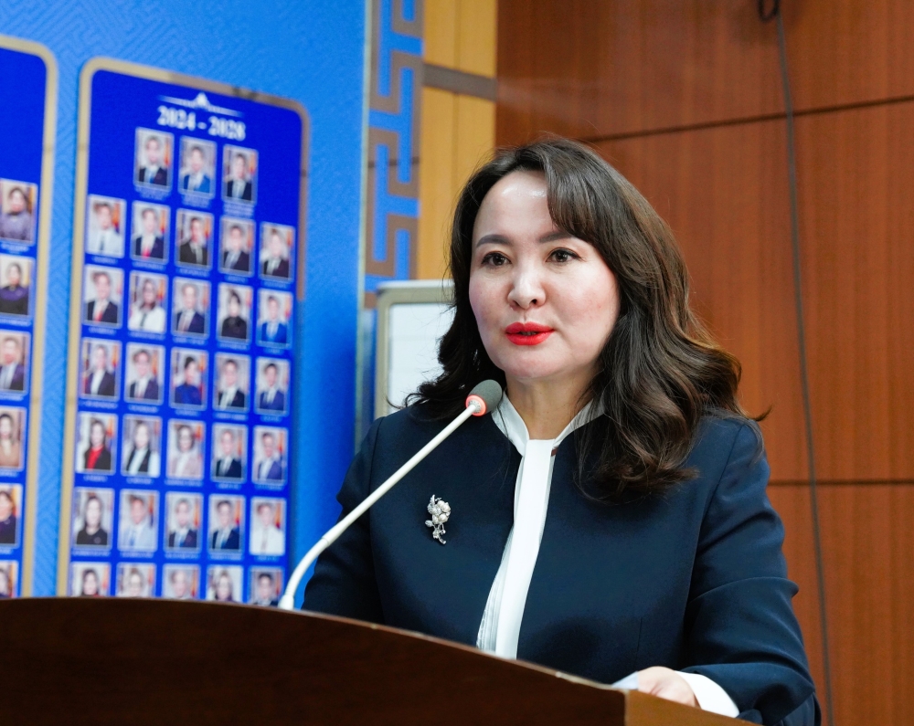 Сүхбаатар дүүрэг: ЖАЙКА ОЛОН УЛСЫН БАЙГУУЛЛАГАТАЙ ХАМТРАН ХӨДӨЛМӨР ЭРХЛЭЛТИЙГ ДЭМЖИХ ТӨСЛИЙГ ХЭРЭГЖҮҮЛНЭ